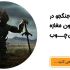 استراتژی یک جنگجو در طراحی دکوراسیون مغازه سامان چوب