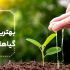 از چه آبی برای آبیاری گیاهان خانگی استفاده کنیم؟
