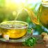 دمنوش لاغری چیست و چطور استفاده کنیم؟