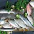 راهنمای خرید ماهی تازه و انواع گوشت و نکات طلایی نگهداری آن