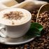 قهوه چیست؟ فواید و مضرات قهوه