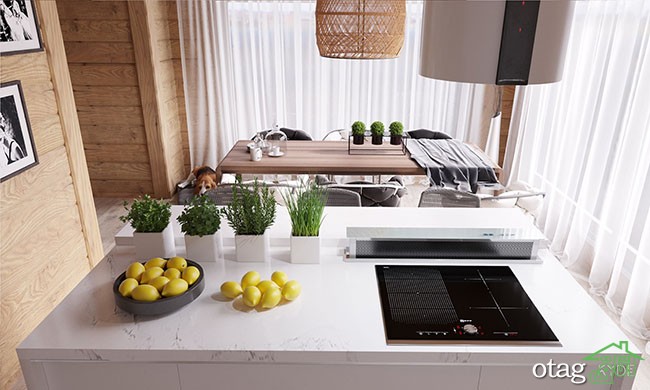 نمونه هایی عالی از دکوراسیون داخلی منزل با چوب طبیعی نمونه هایی عالی از دکوراسیون داخلی منزل با چوب طبیعی