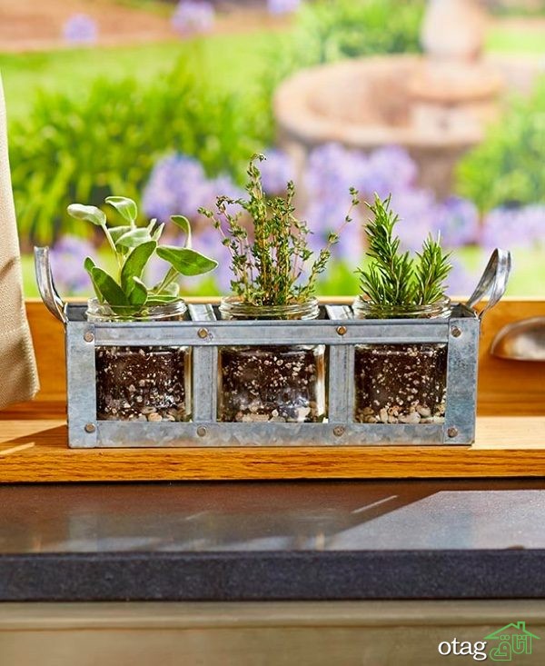 گلدان تزیینی مدرن برای گیاهان دارویی و خوشبو در داخل منزل