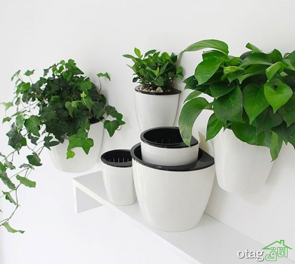 گلدان تزیینی مدرن برای گیاهان دارویی و خوشبو در داخل منزل
