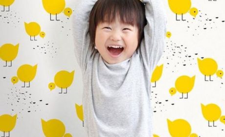 کاغذ دیواری اتاق نوزاد فانتزی، طرح های شاد و جذاب