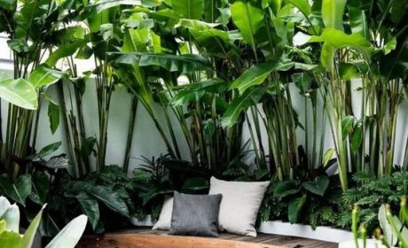 عکس های شگفت انگیز طراحی فضای سبز حیاط خانه ویلایی و معمولی