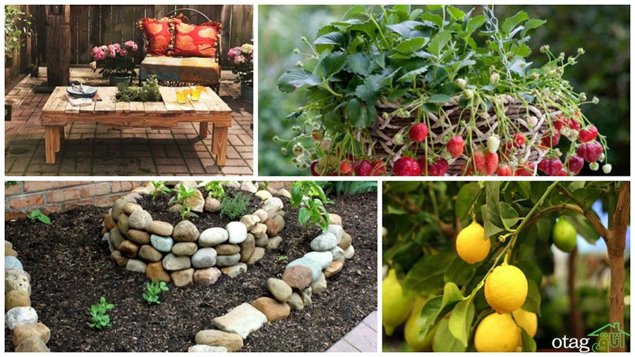 ایده هایی ناب و جالب برای طراحی باغچه شیک و زیبا