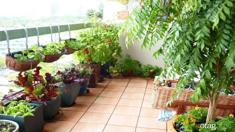 7 ایده&zwnj; به روز طراحی گلخانه خانگی همراه با 20 نمونه گلخانه شیک