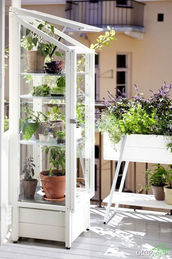 7 ایده‌ به روز طراحی گلخانه خانگی همراه با 20 نمونه گلخانه شیک