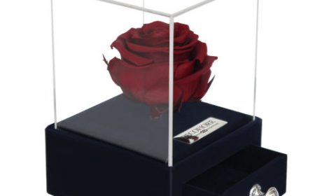 خرید 38 مدل جعبه جواهرات شیک [ طرح های خاص و جالب ] با تخفیف