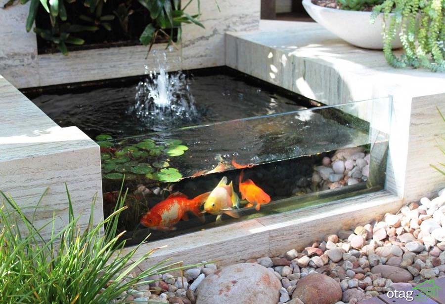 راهنمای استفاده از حوض آبنما و 12مدل دیدنی راهنمای استفاده از حوض آبنما و 12مدل دیدنی