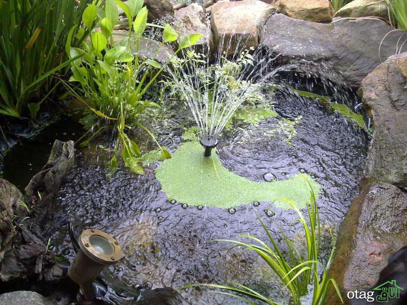 راهنمای استفاده از حوض آبنما و 12مدل دیدنی راهنمای استفاده از حوض آبنما و 12مدل دیدنی