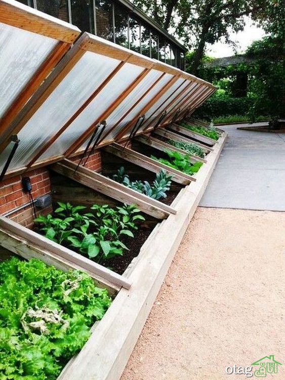 5 ایده برای ساخت گلخانه در حیاط منزل