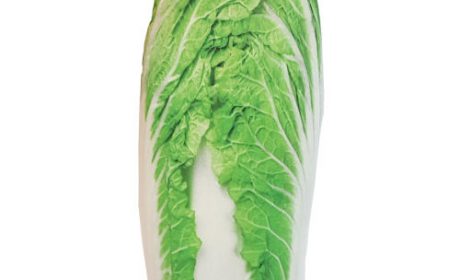 39 مدل بهترین جامدادی مدرسه فانتزی [ دخترانه و پسرانه ] ارزان