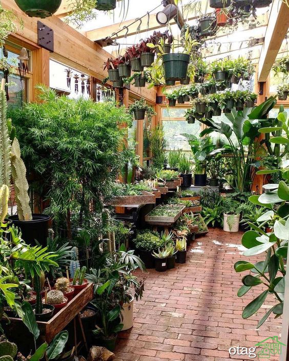 5 ایده برای ساخت گلخانه در حیاط منزل 5 ایده برای ساخت گلخانه در حیاط منزل