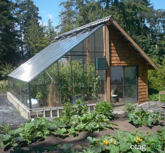 5 ایده برای ساخت گلخانه در حیاط منزل
