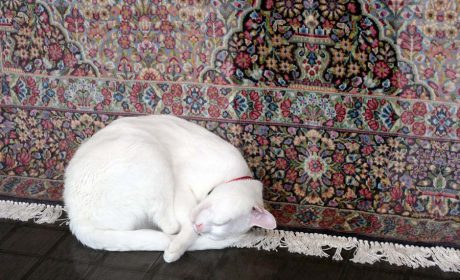 جزئیات چیدمان منزل ایرانی