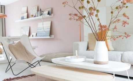 نحوه به کار بردن رنگ گلبهی در دکوراسیون، چگونه است؟