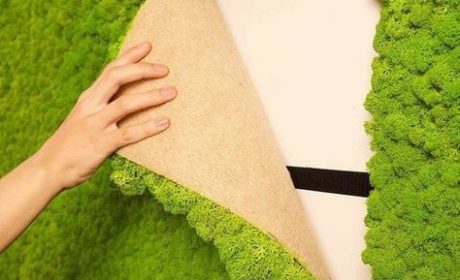 آشنایی با انواع مدل دیوارپوش، نصبی و چاپی