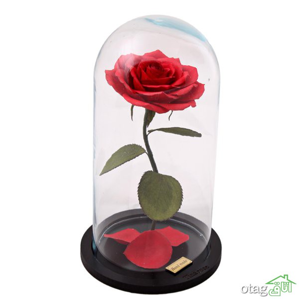 لیست قیمت 39  مدل گلدان شیشه ای فانتزی و خاص با لینک خرید