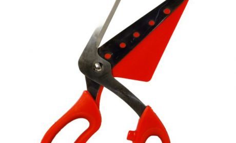 قیمت 40 مدل قیچی آشپزخانه کیفیت عالی  + خرید