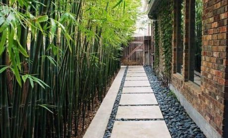 راهنمای ساخت مسیر سنگ فرش برای حیاط خانه و باغ