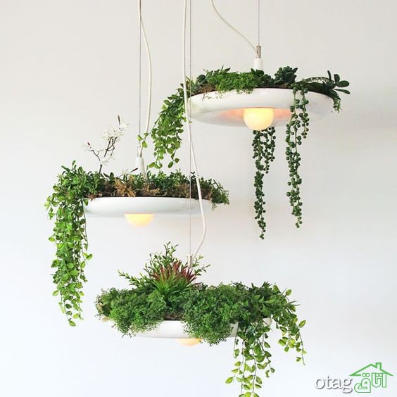 راهنمایی و بررسی ایده های تزیین خانه با گل طبیعی