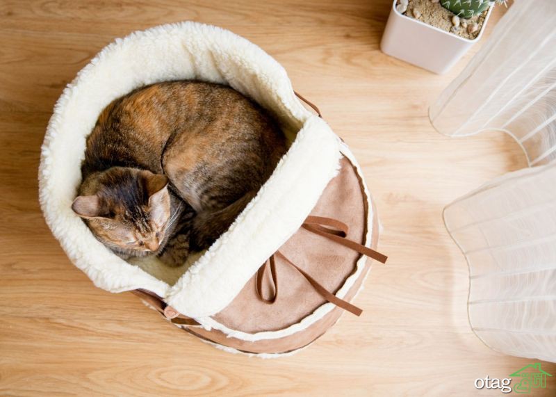 20 مدل جای خواب گربه شیک و ساده مناسب دکوراسیون های امروزی