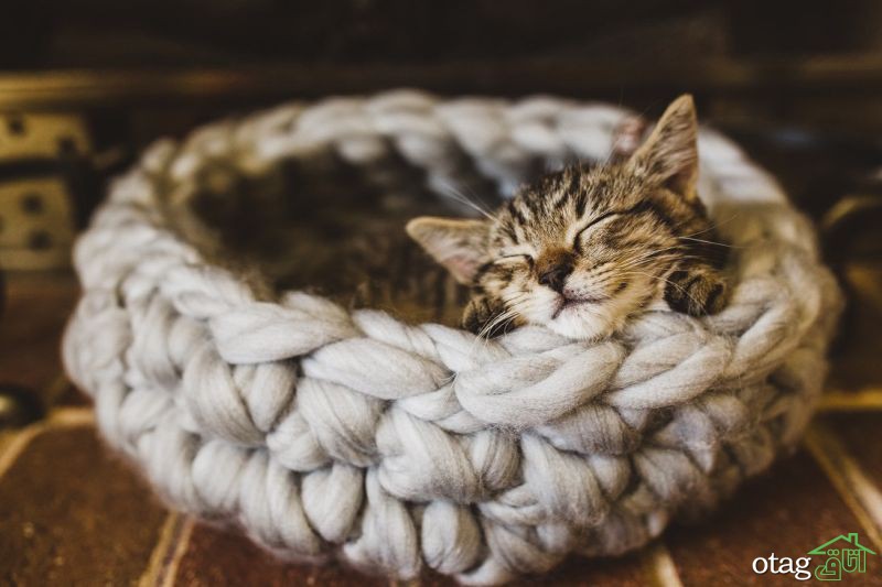 20 مدل جای خواب گربه شیک و ساده مناسب دکوراسیون های امروزی