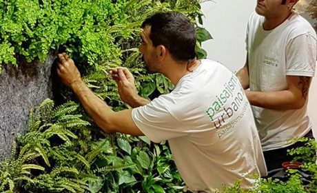 معرفی داربست گیاهکاری و 6 روش ساخت راهبردی