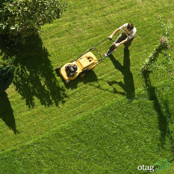 نکاتی فوق العاده کاربردی برای چمن زنی و پیرایش چمن نکاتی فوق العاده کاربردی برای چمن زنی و پیرایش چمن