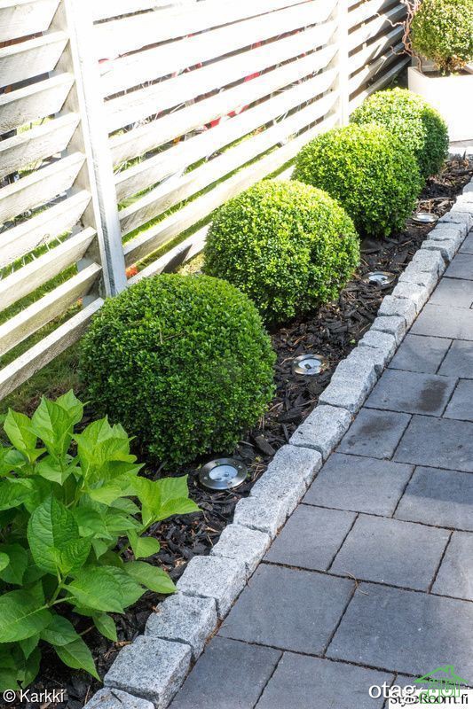 تکنیک های کاربردی لبه سازی چمن برای باغ یا حیاط