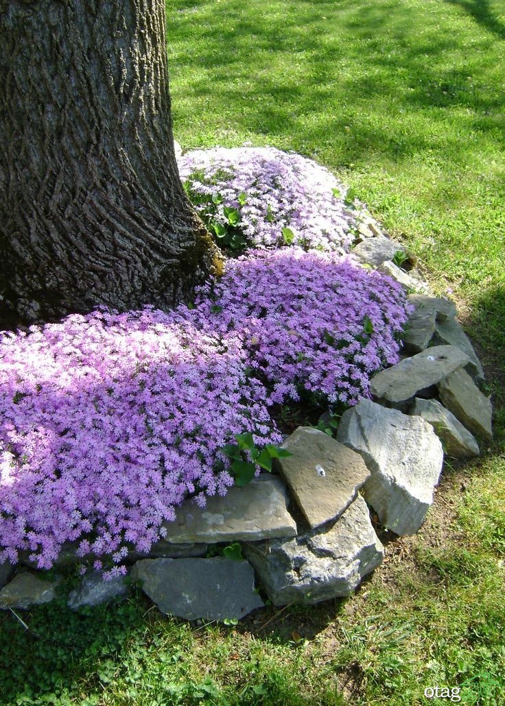 تکنیک های کاربردی لبه سازی چمن برای باغ یا حیاط