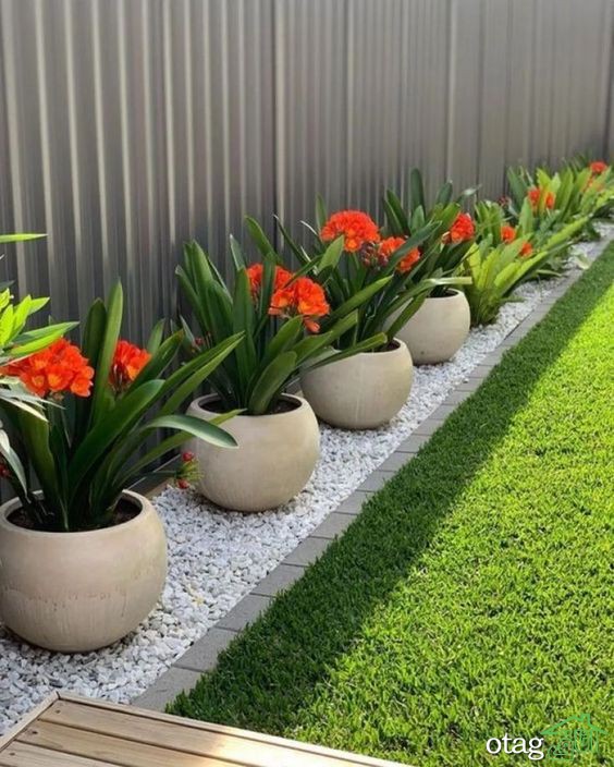 تکنیک های کاربردی لبه سازی چمن برای باغ یا حیاط