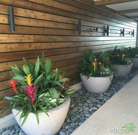 تکنیک های کاربردی لبه سازی چمن برای باغ یا حیاط