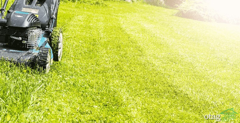 نکاتی فوق العاده کاربردی برای چمن زنی و پیرایش چمن نکاتی فوق العاده کاربردی برای چمن زنی و پیرایش چمن