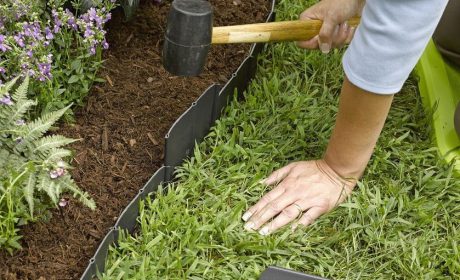 تکنیک های کاربردی لبه سازی چمن برای باغ یا حیاط