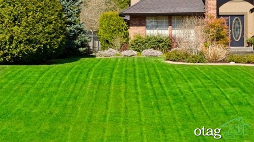 نکاتی فوق العاده کاربردی برای چمن زنی و پیرایش چمن نکاتی فوق العاده کاربردی برای چمن زنی و پیرایش چمن