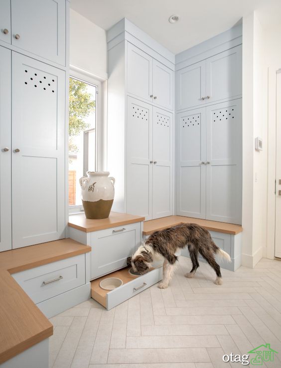 معرفی و ایجاد بهترین نقاط ورودی با Mudroom + نمونه های کاربردی معرفی و ایجاد بهترین نقاط ورودی با Mudroom + نمونه های کاربردی