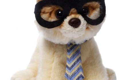 قیمت 38 مدل عروسک پولیشی جذاب موجود در بازار + خرید