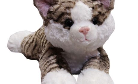 خرید 39 مدل عروسک گربه با مزه با کیفیت فوق العاده + قیمت عالی