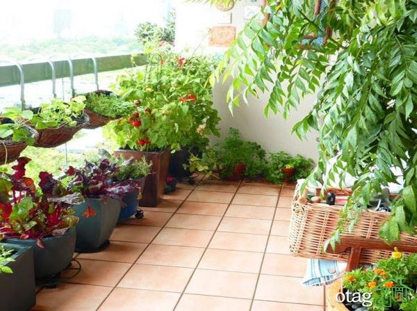 آشنایی با نحوه بهره مندی از ایده های خلاقانه در دیزاین تراس منازل مسکونی آشنایی با نحوه بهره مندی از ایده های خلاقانه در دیزاین تراس منازل مسکونی