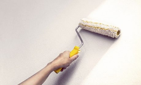 راهنمای کامل برای رنگ کردن دیوار گچی