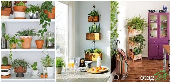 مزایای استفاده از گلخانه خانگی در دکوراسیون داخلی منازل