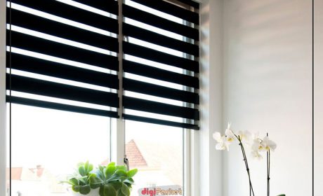 پرده زبرا برای آشپزخانه مناسب است؟