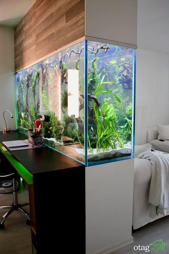 آشنایی با نحوه بکارگیری انواع آکواریوم برای دیزاین منزل آشنایی با نحوه بکارگیری انواع آکواریوم برای دیزاین منزل