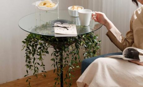 تزیین زیر میز شیشه ای توسط گیاهان مختلف برای دکوراسیون لاکچری خانه