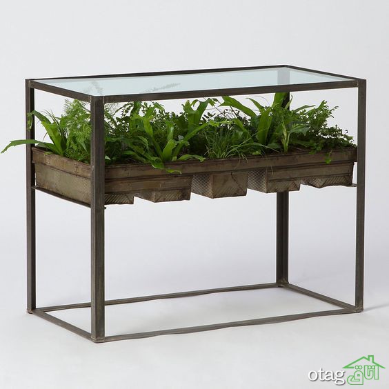 تزیین زیر میز شیشه ای توسط گیاهان مختلف برای دکوراسیون لاکچری خانه