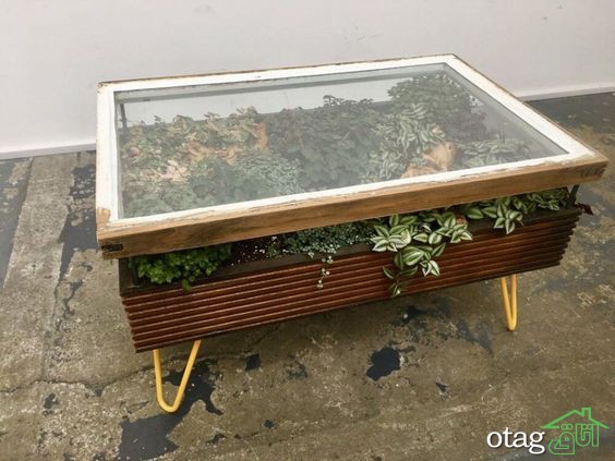 تزیین زیر میز شیشه ای توسط گیاهان مختلف برای دکوراسیون لاکچری خانه تزیین زیر میز شیشه ای توسط گیاهان مختلف برای دکوراسیون لاکچری خانه