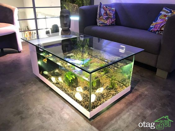 آشنایی با نحوه بکارگیری انواع آکواریوم برای دیزاین منزل